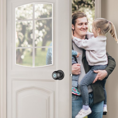 Smart Door Knob Biometric Door Lock Bluetooth Smart Lock Fingerprint Smart