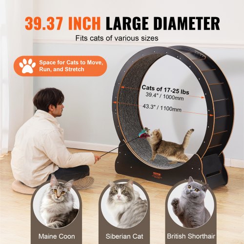 Wooden Cat Exercise Wheel 433 Large Cat Treadmill Wheel for Indoor Cats