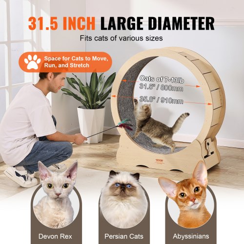 Cat Exercise Wheel Large Cat Treadmill Wheel for Indoor Cats 35.8 inch Cat