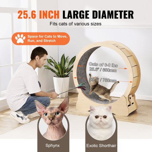 Cat Exercise Wheel Large Cat Treadmill Wheel for Indoor Cats 29.5 inch Cat