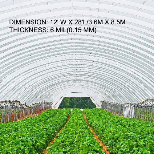 Greenhouse Film 12 x 28 ft Greenhouse Polyethylene Film 6 Mil Thickness