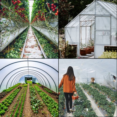 Greenhouse Film 12 x 28 ft Greenhouse Polyethylene Film 6 Mil Thickness