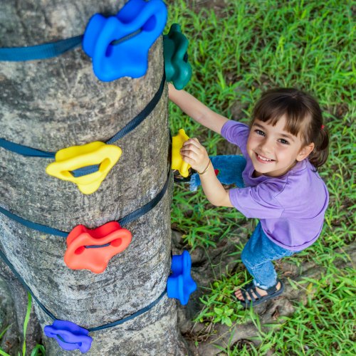 Ninja Tree Climbing Kit 20 Tree Climbing Holds and 6 Ratchet Straps Large