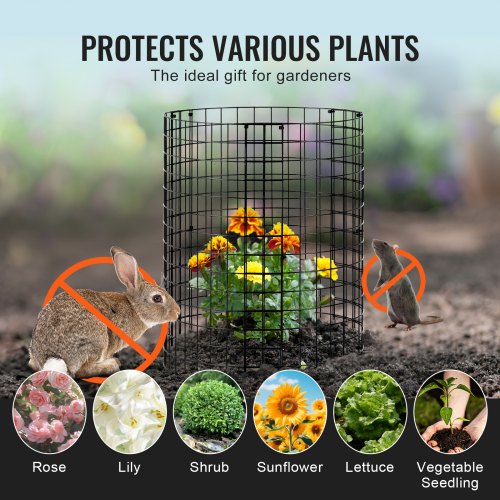 6 Pack Plant Protector from Animals 126 Dia x 14 H Chicken Wire Plant