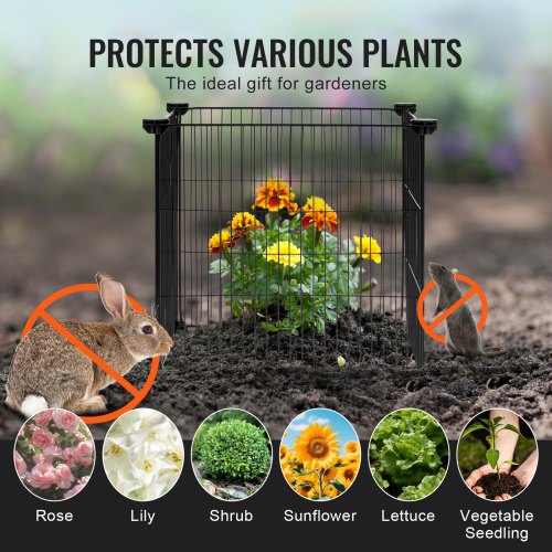 5 Pack Plant Protector from Animals 1535 x 1535 Chicken Wire Plant