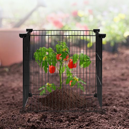 5 Pack Plant Protector from Animals 1535 x 1535 Chicken Wire Plant