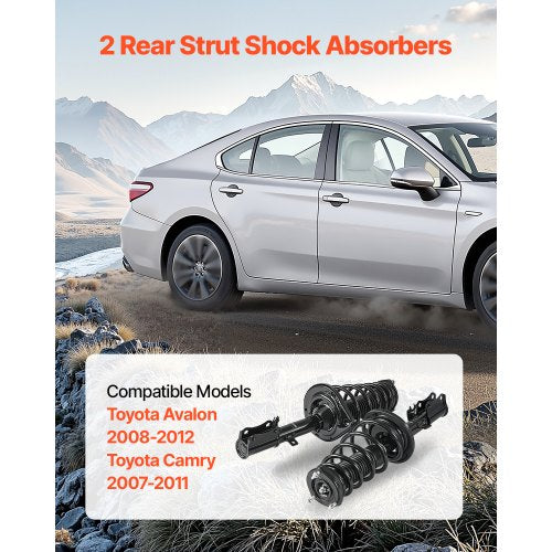 Rear Shock Absorber Strut Assembly 2Pcs Shock and Strut Assembly