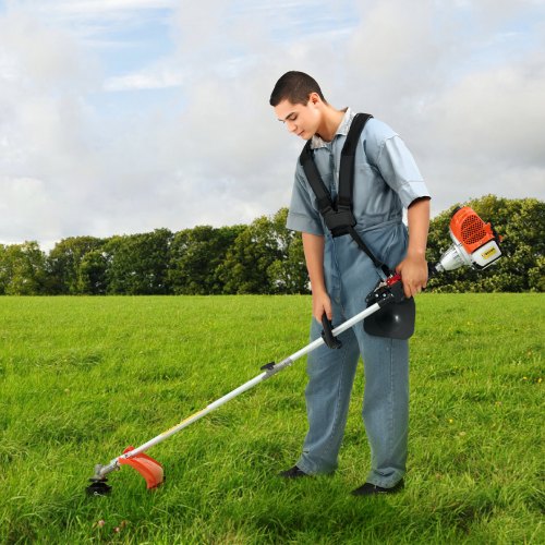 String Trimmer 252CC 2Stroke Gas Powered Weed Wacker 169 Cordless