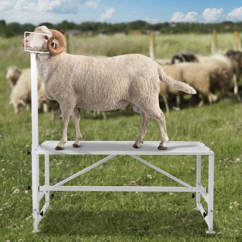 Goat Sheep Stand 47x23 inch Livestock Stand Metal Livestock Milking
