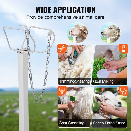 Goat Sheep Stand 51x23 inch Livestock Stand Metal Livestock Milking