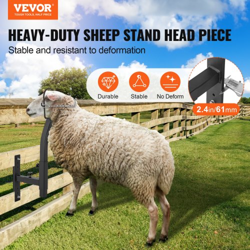 Livestock Trimming Stand Goat Sheep Stand 937128 inch Adjustable