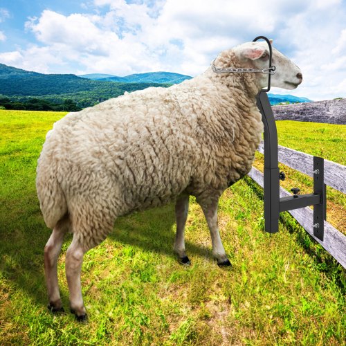 Livestock Trimming Stand Goat Sheep Stand 937128 inch Adjustable