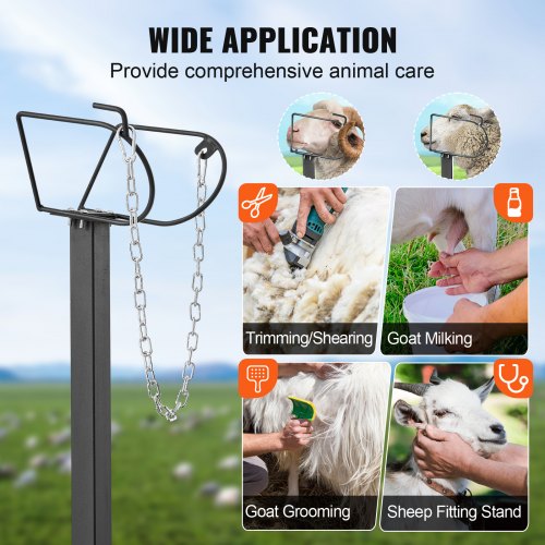 Goat Sheep Stand 51x23 inch Livestock Stand Metal Livestock Milking
