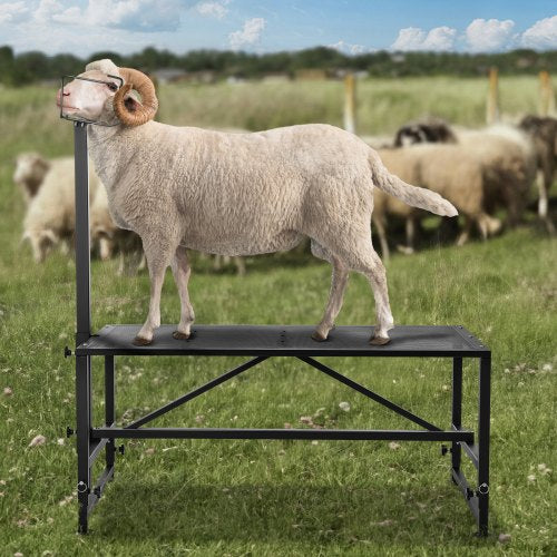 Goat Sheep Stand 51x23 inch Livestock Stand Metal Livestock Milking