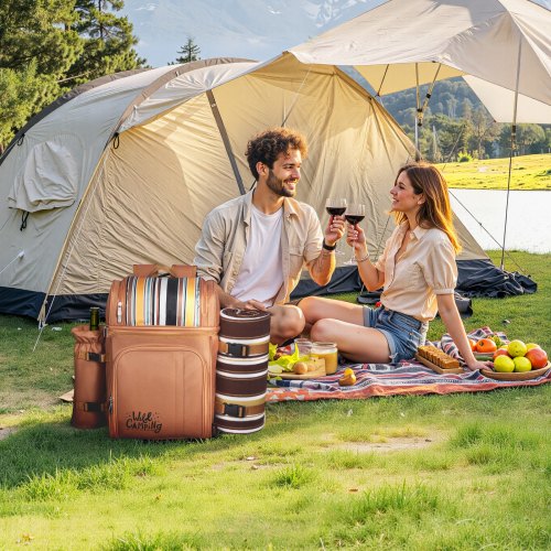Picnic Backpack Beach Picnic Backpack Bag for 4 Person with Insulated