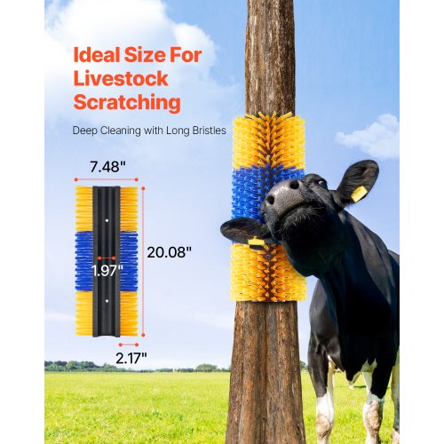 Livestock Scratching Brush 3 Pcs Horse Brush with 6 Screws 20 x 7.5 in Cow
