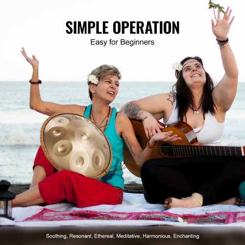 Handpan Drum 22 in 10 Notes D Minor Hand Drum Hand Pan Drum Instrument