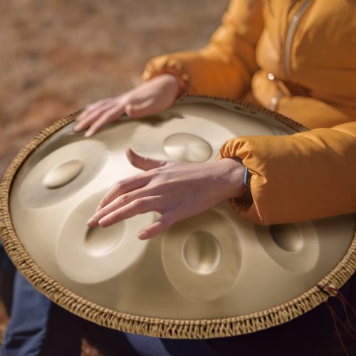 Handpan Drum 22 in 10 Notes D Minor Hand Drum Hand Pan Drum Instrument