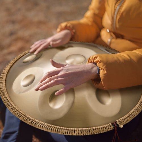 Handpan Drum 22 in 9 Notes D Minor Hand Drum Hand Pan Drum Instrument