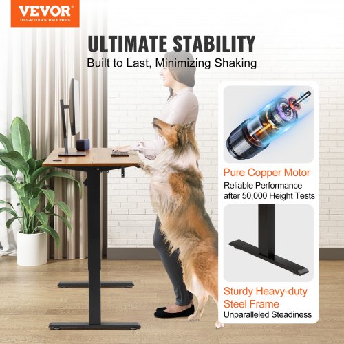 Height Adjustable Desk 472 x 23.6 in 3Key Modes Electric Standing Desk