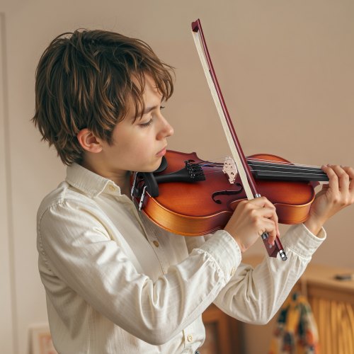 Violin 12 Size for Adults Violin Fiddle Set for Beginners Student with Hard Case