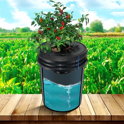 DWC Hydroponic System 5 Gallon 4 Buckets Deep Water Culture Growing