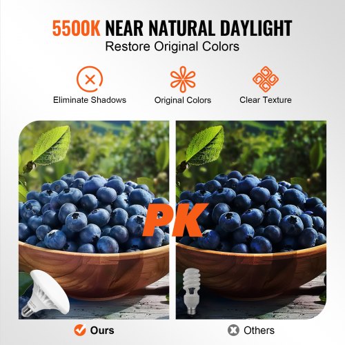 Softbox Lighting Kit 20 x 28 Professional Softbox with 30W 5500K LED