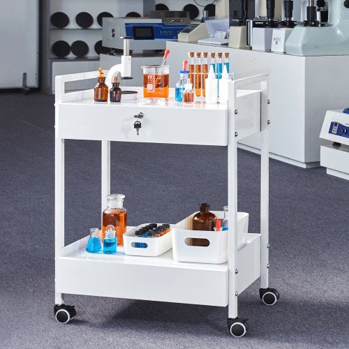 Lab Cart 2 Tiers Stainless Steel Utility Cart Medical Cart with 2 Drawers