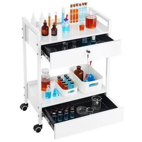 Lab Cart 2 Tiers Stainless Steel Utility Cart Medical Cart with 2 Drawers