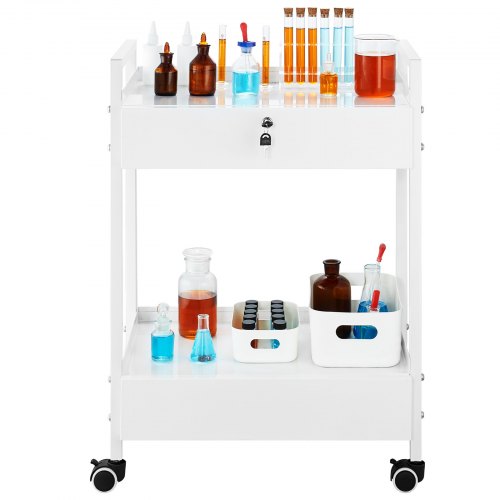 Lab Cart 2 Tiers Stainless Steel Utility Cart Medical Cart with 2 Drawers