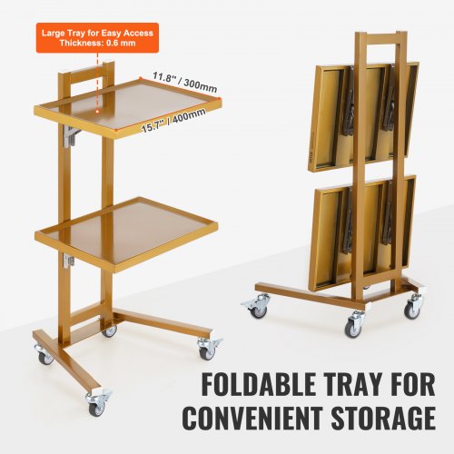 2 Tiers Stainless Steel Lab Carts Lab Utility Cart with 2 Trays Mobile