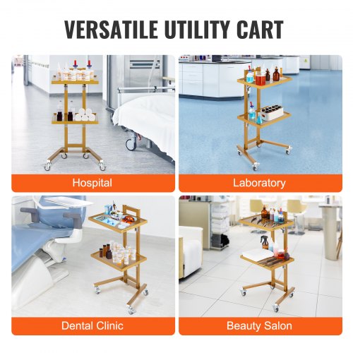 2 Tiers Stainless Steel Lab Carts Lab Utility Cart with 2 Trays Mobile
