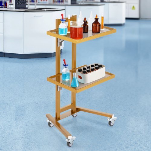 2 Tiers Stainless Steel Lab Carts Lab Utility Cart with 2 Trays Mobile
