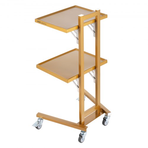 2 Tiers Stainless Steel Lab Carts Lab Utility Cart with 2 Trays Mobile