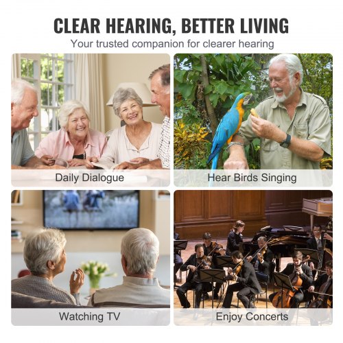 Hearing Aids for Seniors Rechargeable Hearing Amplifiers With Noise