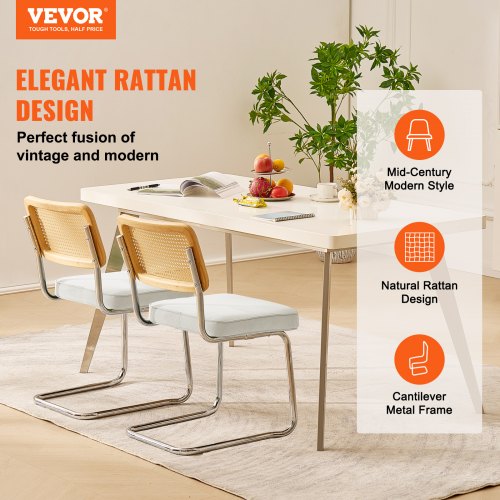 Rattan Dining Chairs Set of 2 Mid Century Modern Dining Chair Upholstered