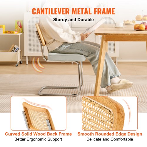 Rattan Dining Chairs Set of 2 Mid Century Modern Dining Chair Upholstered