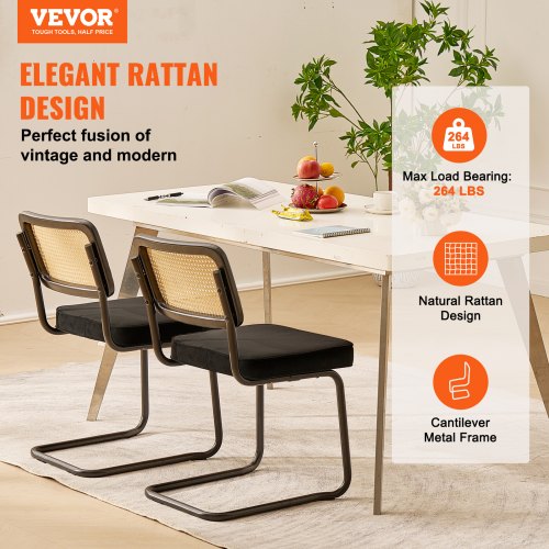 Rattan Dining Chairs Set of 2 Mid Century Modern Dining Chair Upholstered