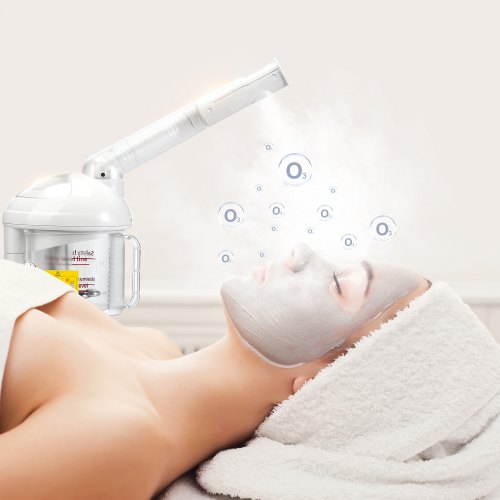 Hair Steamer 2in1 Professional Hair Facial Steamer with Detachable
