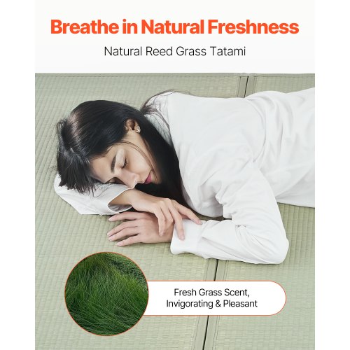 Japanese Tatami Mat Twin Size Foldable Japanese Tatami Mattress Natural
