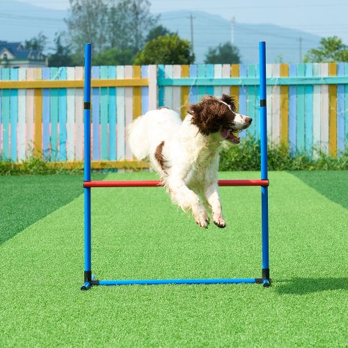Dog Agility Training Equipment 4 PCS Set with Adjustable High Hurdles6