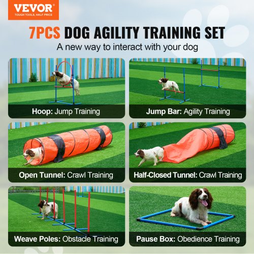 Dog Agility Training Equipment 7 PCS Set Upgrade w Adjustable High