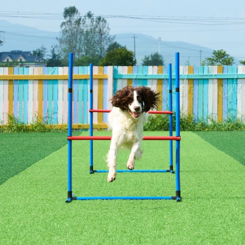 Dog Agility Training Equipment 7 PCS Set Upgrade w Adjustable High