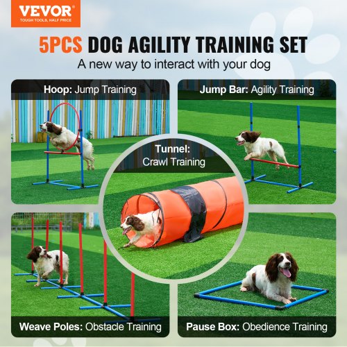 Dog Agility Training Equipment 5 PCS Set Upgrade with Adjustable High