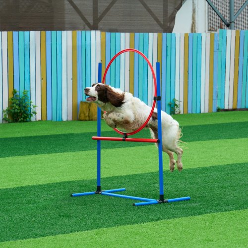 Dog Agility Training Equipment 5 PCS Set Upgrade with Adjustable High