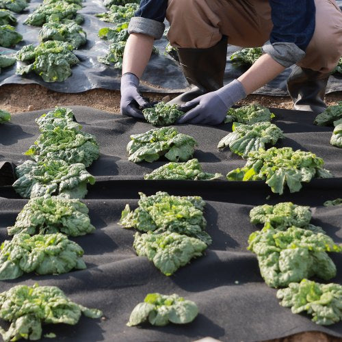 Non Woven Geotextile Fabric Under Gravel 6x50FT 8OZ Driveway Fabric