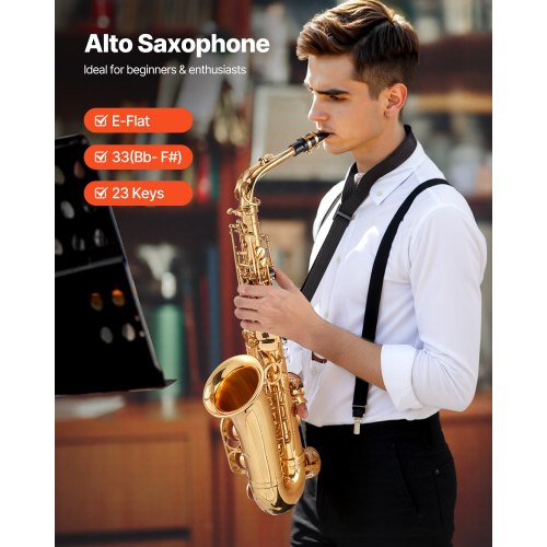 Alto Saxophone E Flat Brass Saxophone Beginner Kit with Carrying Case