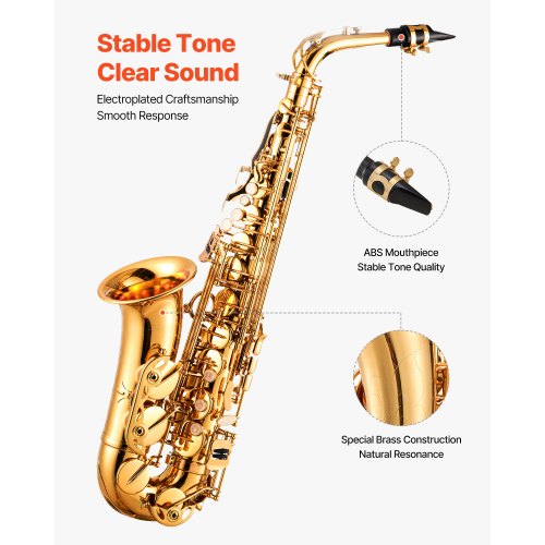 Alto Saxophone E Flat Brass Saxophone Beginner Kit with Carrying Case