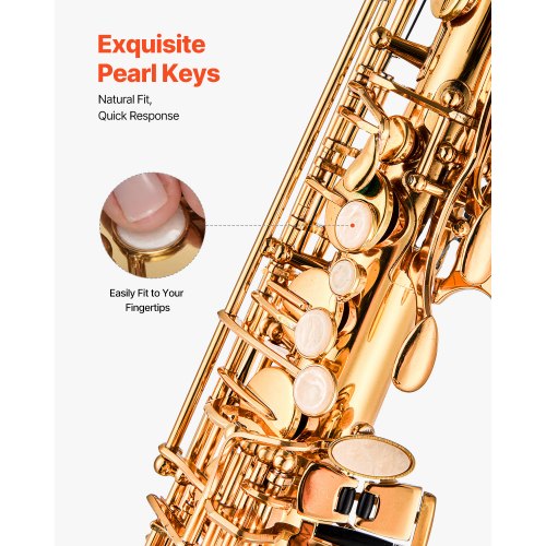 Alto Saxophone E Flat Brass Saxophone Beginner Kit with Carrying Case