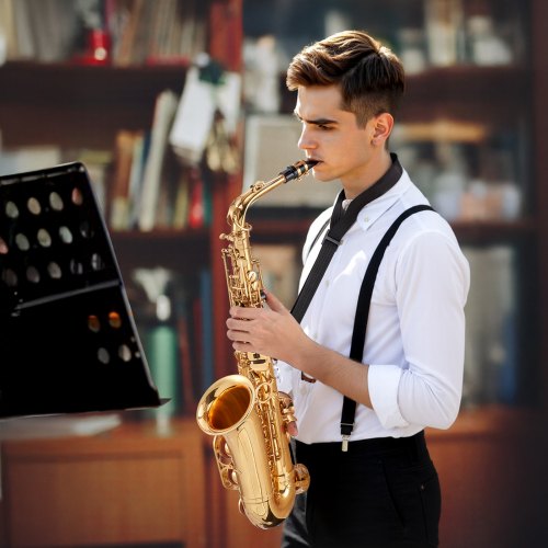 Alto Saxophone E Flat Brass Saxophone Beginner Kit with Carrying Case